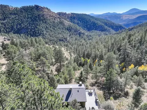 98 Teal Ln, Bailey, CO 80421