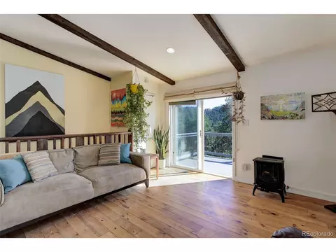 98 Teal Ln, Bailey, CO 80421 photo 13