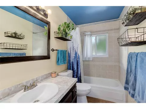 98 Teal Ln, Bailey, CO 80421 photo 23