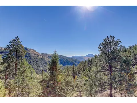 98 Teal Ln, Bailey, CO 80421 photo 34