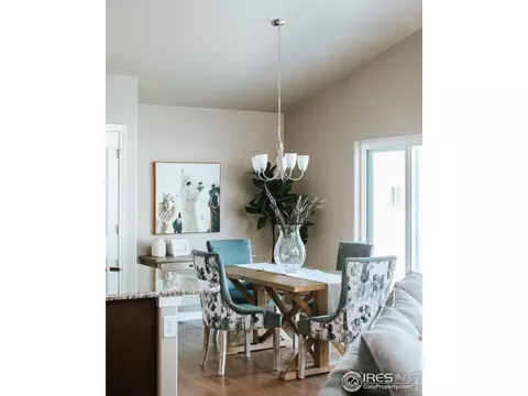 5650 Osbourne Dr, Windsor, CO 80550 photo 8