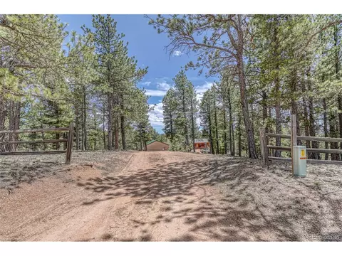62 Spring Creek Dr, Divide, CO 80814 photo 6