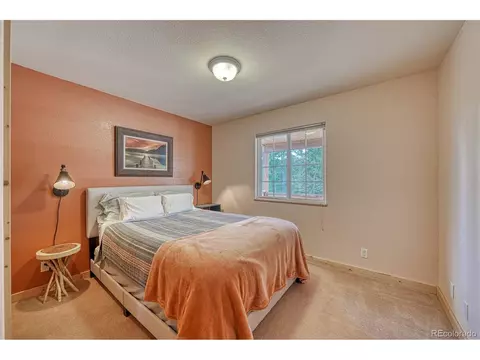 62 Spring Creek Dr, Divide, CO 80814 photo 25