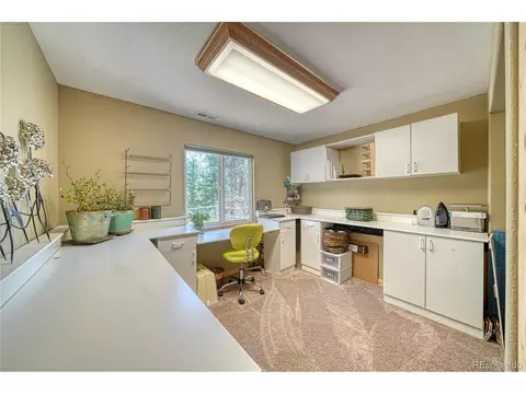 62 Spring Creek Dr, Divide, CO 80814 photo 35