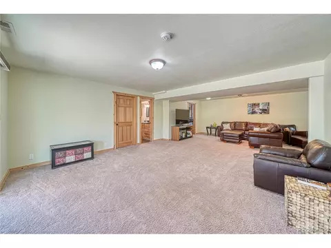 62 Spring Creek Dr, Divide, CO 80814 photo 28