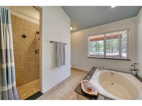 62 Spring Creek Dr, Divide, CO 80814 photo 24