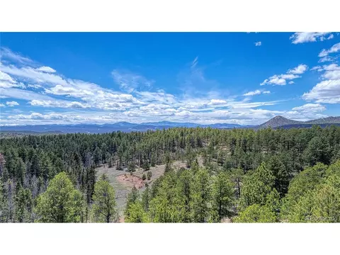 62 Spring Creek Dr, Divide, CO 80814 photo 42