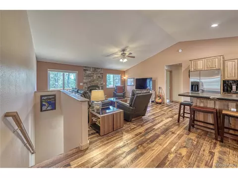 62 Spring Creek Dr, Divide, CO 80814 photo 14