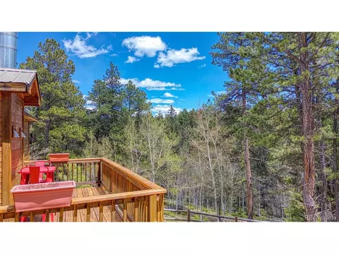 62 Spring Creek Dr, Divide, CO 80814 photo 39
