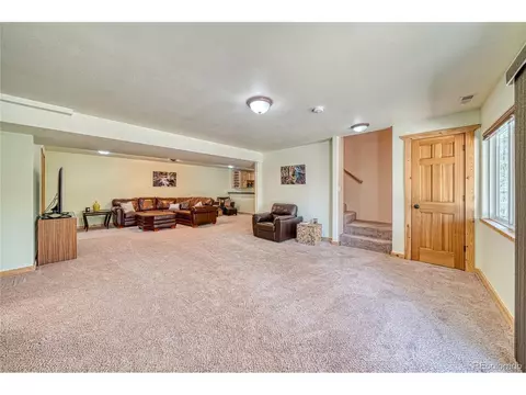 62 Spring Creek Dr, Divide, CO 80814 photo 29