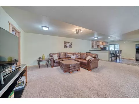 62 Spring Creek Dr, Divide, CO 80814 photo 30