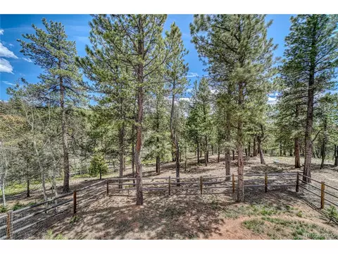 62 Spring Creek Dr, Divide, CO 80814 photo 37
