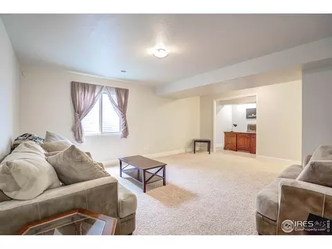 101 Flat Iron St, Severance, CO 80550 photo 22