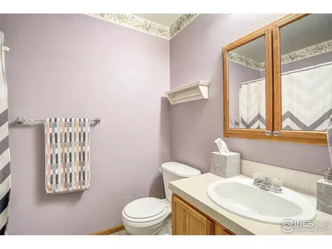 101 Flat Iron St, Severance, CO 80550 photo 18