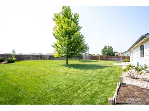 101 Flat Iron St, Severance, CO 80550 photo 34