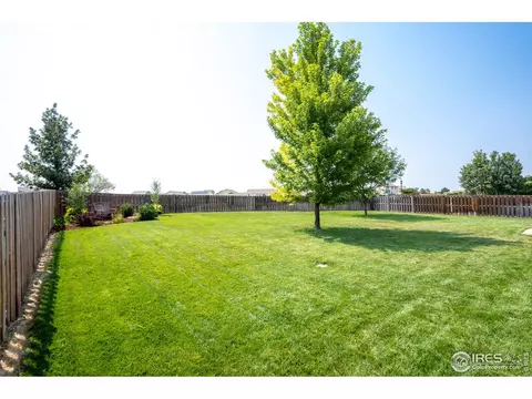 101 Flat Iron St, Severance, CO 80550 photo 35