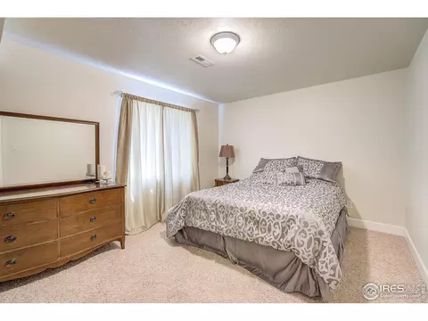 101 Flat Iron St, Severance, CO 80550 photo 17