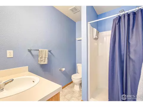101 Flat Iron St, Severance, CO 80550 photo 21