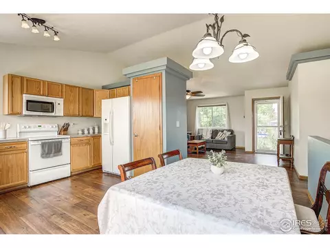 101 Flat Iron St, Severance, CO 80550 photo 8