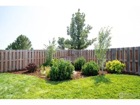 101 Flat Iron St, Severance, CO 80550 photo 33