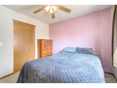 101 Flat Iron St, Severance, CO 80550 photo 16