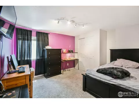 5192 E 117th Ct, Thornton, CO 80233 photo 21