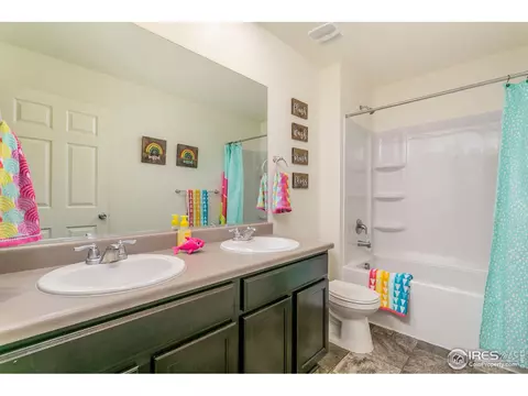 410 Harrow St, Severance, CO 80550 photo 18