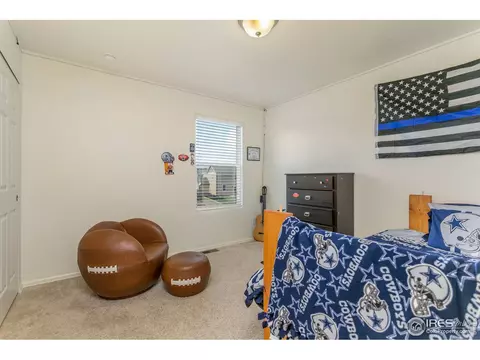 410 Harrow St, Severance, CO 80550 photo 20