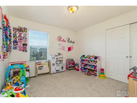 410 Harrow St, Severance, CO 80550 photo 19