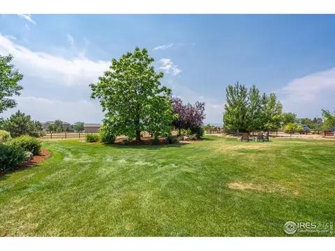 4953 Blackhawk Dr, Windsor, CO 80550 photo 35