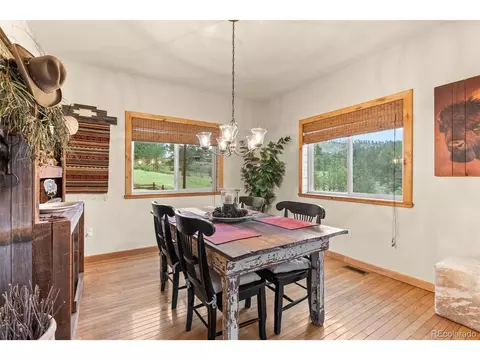 15608 Ouray Rd, Pine, CO 80470 photo 20