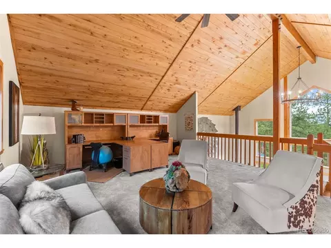 15608 Ouray Rd, Pine, CO 80470 photo 32