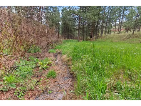 15608 Ouray Rd, Pine, CO 80470 photo 8