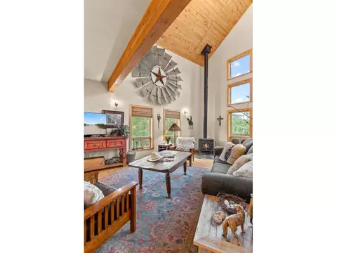 15608 Ouray Rd, Pine, CO 80470 photo 10