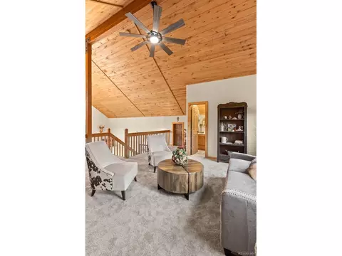 15608 Ouray Rd, Pine, CO 80470 photo 30