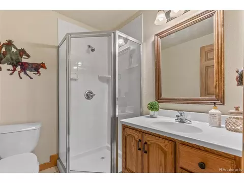 15608 Ouray Rd, Pine, CO 80470 photo 39