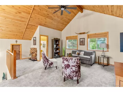 15608 Ouray Rd, Pine, CO 80470 photo 33