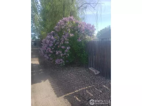 336 Samples Ave, Brush, CO 80723 photo 11