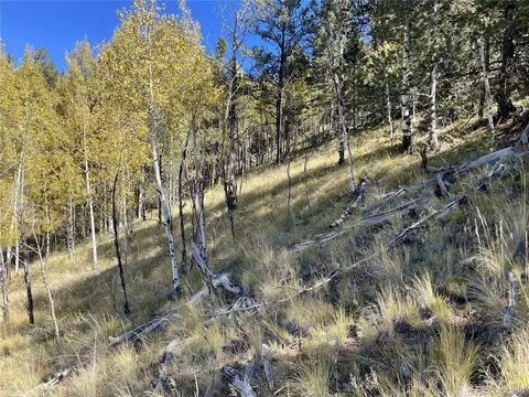 1520 Pikes Peak Dr, Divide, CO 80814 photo 6