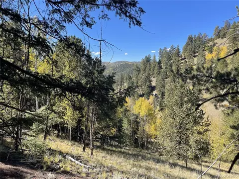 1520 Pikes Peak Dr, Divide, CO 80814