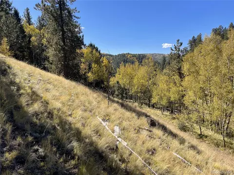 1520 Pikes Peak Dr, Divide, CO 80814 photo 7