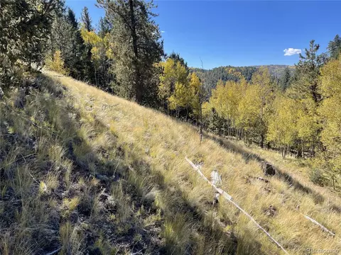 1520 Pikes Peak Dr, Divide, CO 80814 photo 11