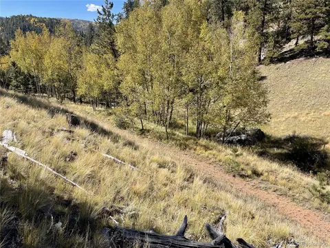 1520 Pikes Peak Dr, Divide, CO 80814 photo 10