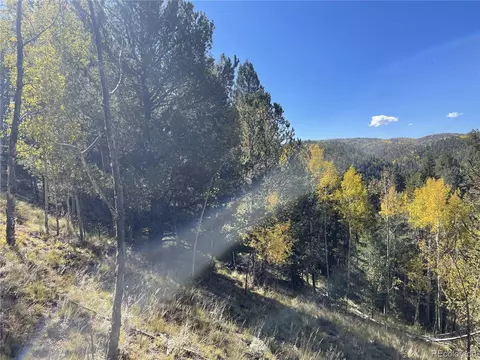 1520 Pikes Peak Dr, Divide, CO 80814 photo 13