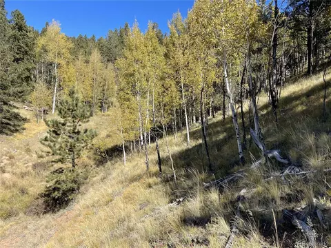 1520 Pikes Peak Dr, Divide, CO 80814 photo 5