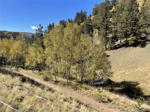 1520 Pikes Peak Dr, Divide, CO 80814 photo 8