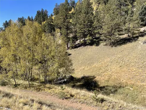 1520 Pikes Peak Dr, Divide, CO 80814 photo 9