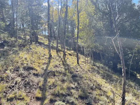 1520 Pikes Peak Dr, Divide, CO 80814 photo 14