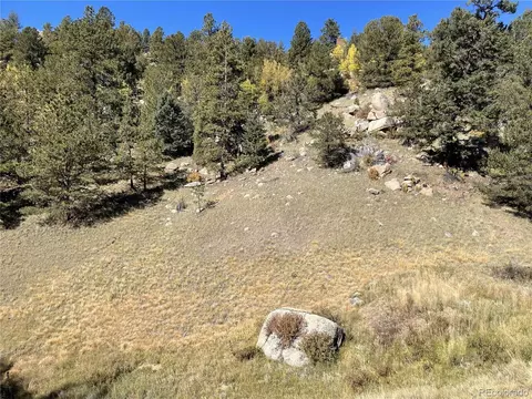 1520 Pikes Peak Dr, Divide, CO 80814 photo 3
