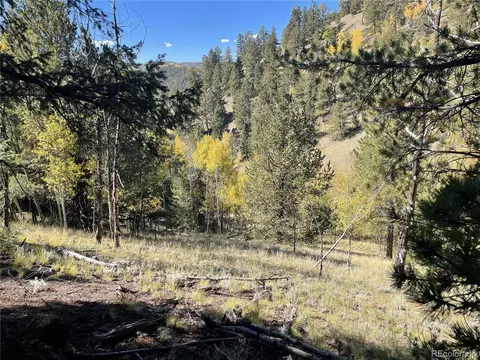 1520 Pikes Peak Dr, Divide, CO 80814 photo 2